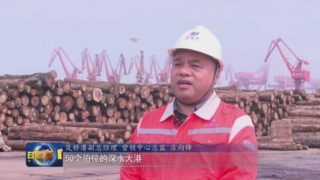 半岛体育聚焦2023全球木材与木制品大会 以“木”为舟 产业扬帆(图6)