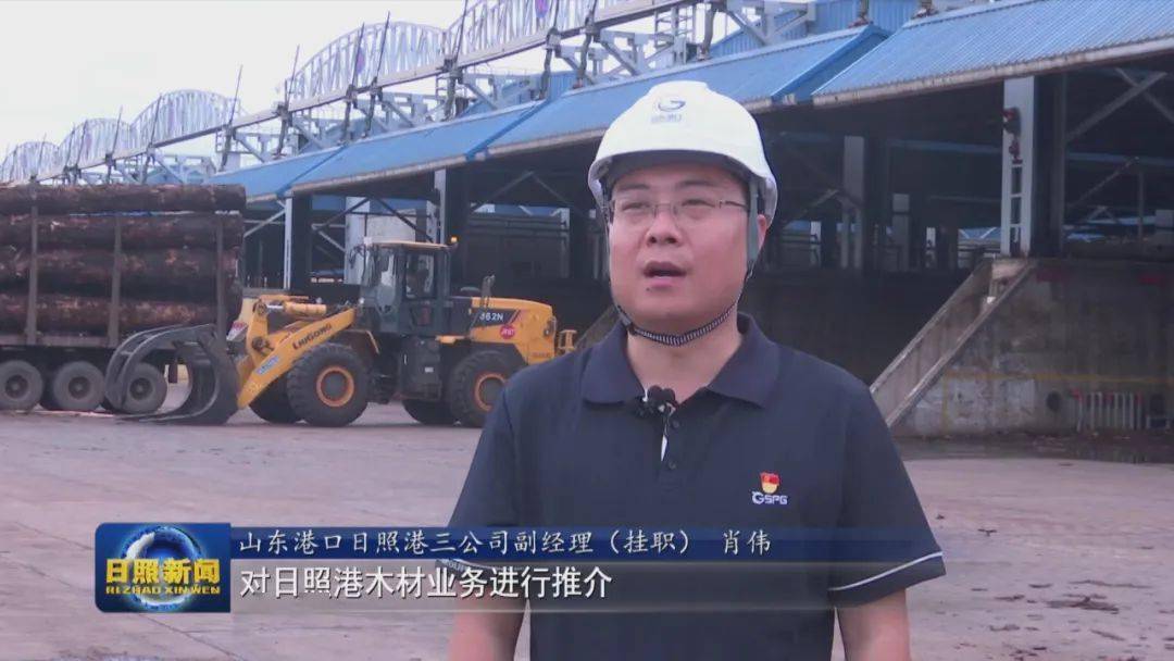 半岛体育聚焦2023全球木材与木制品大会 以“木”为舟 产业扬帆(图7)