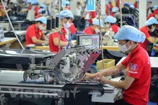半岛体育越南为什么急转弯？(图7)