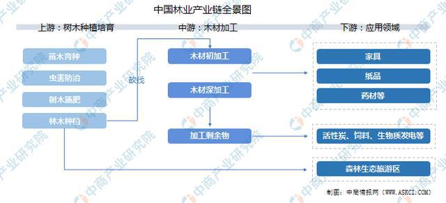 2022年中国林业产业链上中下游市场预半岛体育测分析(图1)