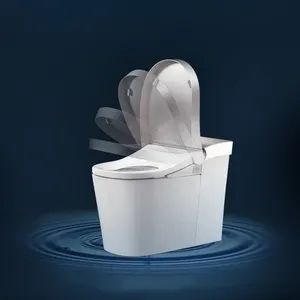 上榜智能马桶品牌十大排名榜的科勒星朗搭载前半岛体育净柔泉女冲技术(图2)