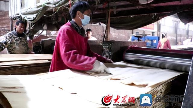 从杨木零半岛体育售到产业集群 郓城走出木制品加工行业高质量发展新路子(图1)