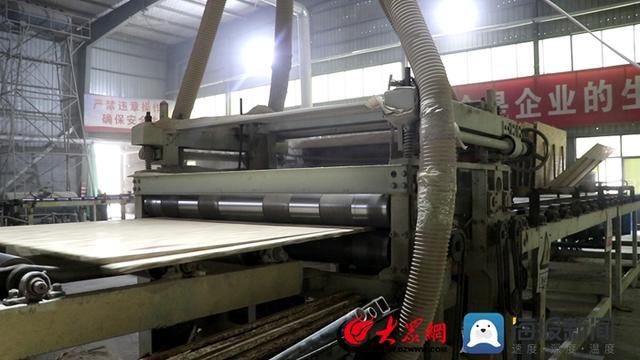 从杨木零半岛体育售到产业集群 郓城走出木制品加工行业高质量发展新路子(图2)
