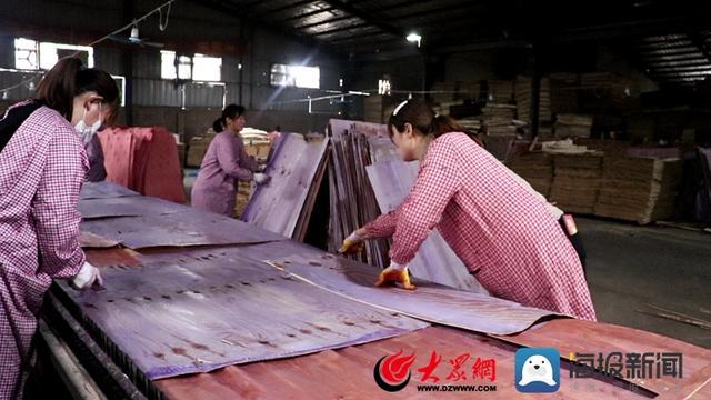从杨木零半岛体育售到产业集群 郓城走出木制品加工行业高质量发展新路子(图3)
